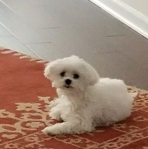 Meet your Posher, Margaret